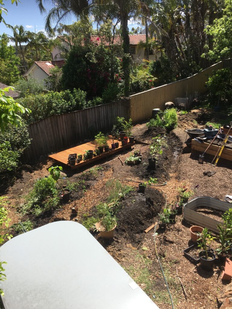 planting garden beds