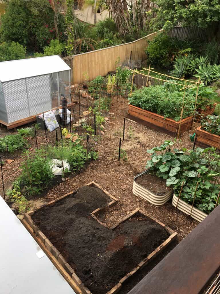 Permaculture Patch Project in Australia