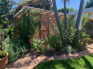Chicken Coop with garden in front Sydney