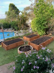 Wicking Raised Garden Beds with round Stone Garden Bed for Avocado Sydney