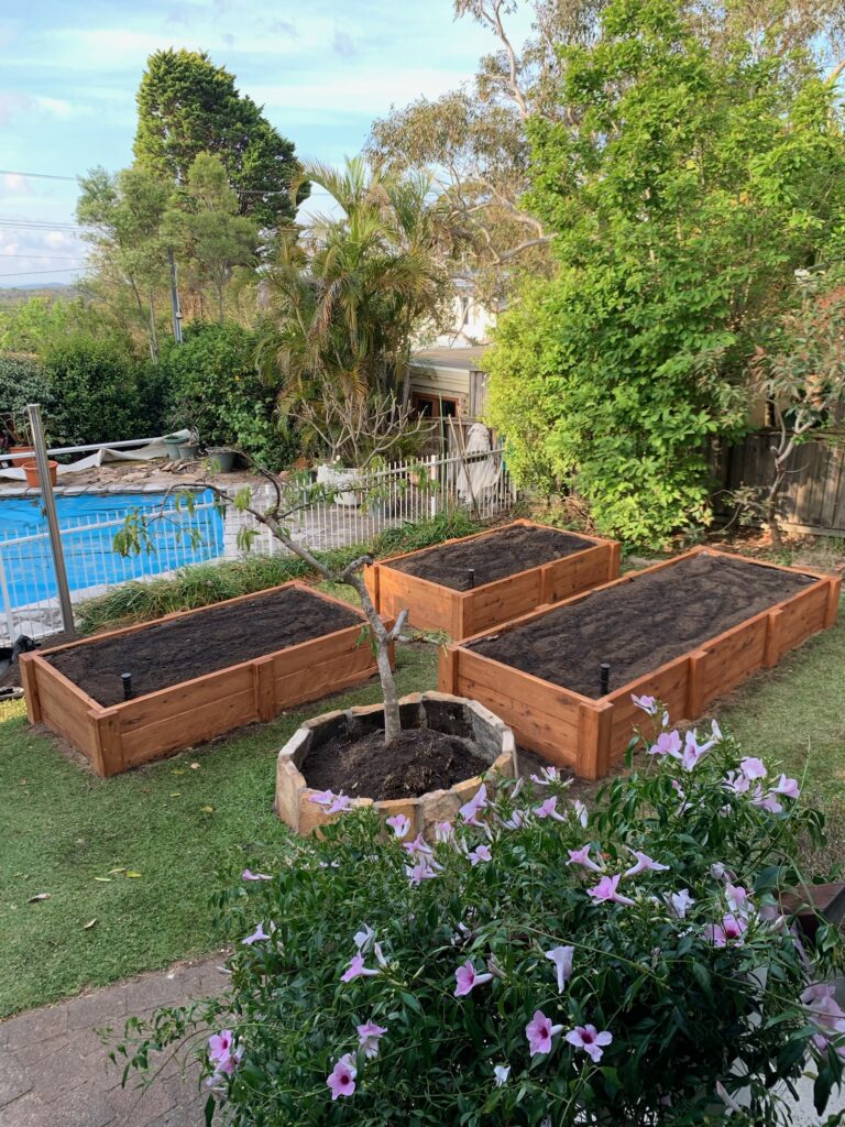 Wicking Raised Garden Beds with round Stone Garden Bed for Avocado Sydney