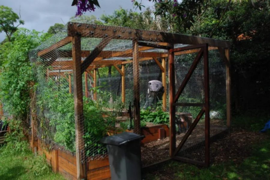 Permaculture garden enclosure, a productive and eco-conscious landscaping in Australia
